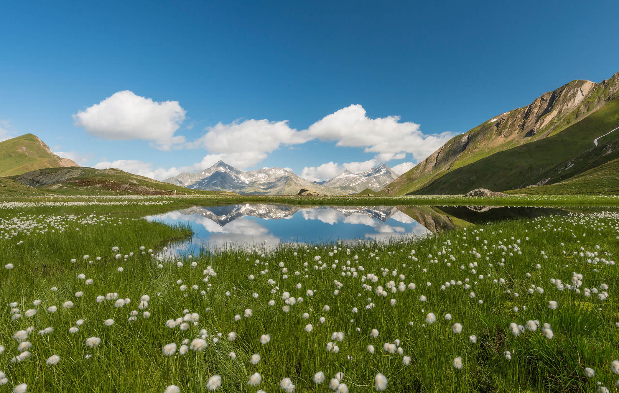 Estate in Valle Aurina