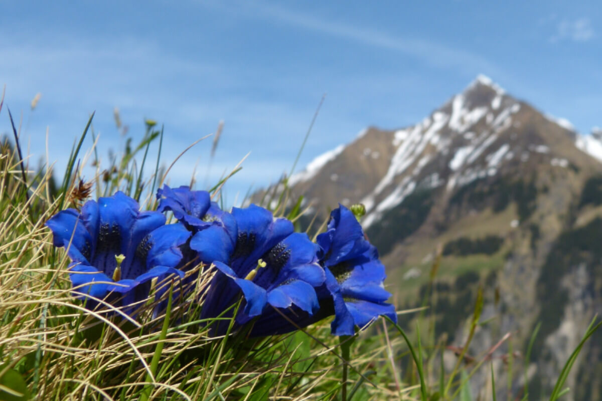 La vostra fedeltà - il nostro grazie